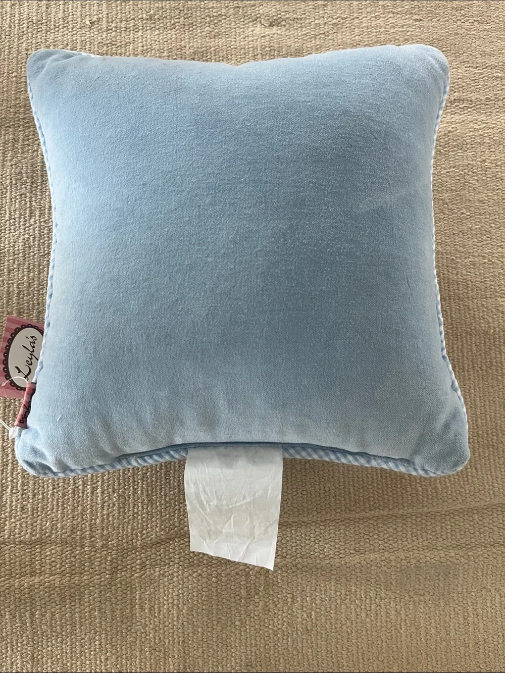 Baby Pillow- Light Blue 'The Prince Sleeps Here'